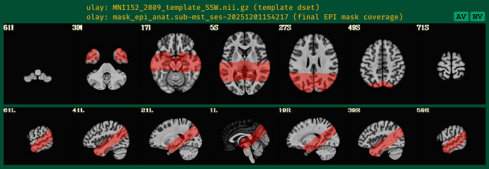 Screenshot from 2025-12-29 11-41-31