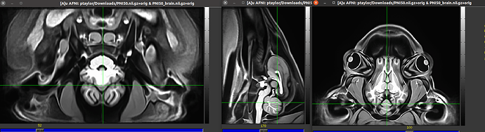 Screenshot from 2026-04-06 16-01-07