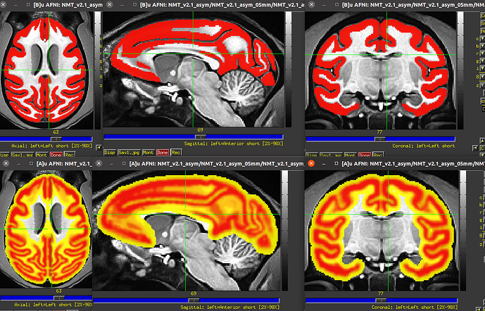 Screenshot from 2024-06-05 10-32-59