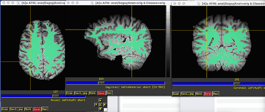 Screenshot 2025-02-19 at 11.13.39 AM