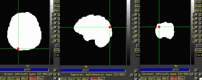 Screenshot 2025-03-04 at 10.42.13 AM