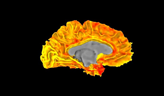 my_images.A.250910_173454.051