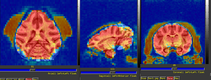 Screenshot from 2023-07-11 17-40-55
